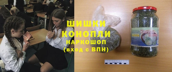 PSILOCYBIN Алексеевка