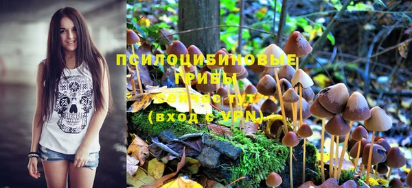 PSILOCYBIN Алексеевка