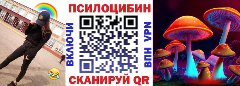 гидра сайт Каргат Псилоцибиновые грибы Psilocybe