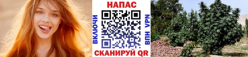 kraken маркетплейс Каргат МАРИХУАНА THC 21%